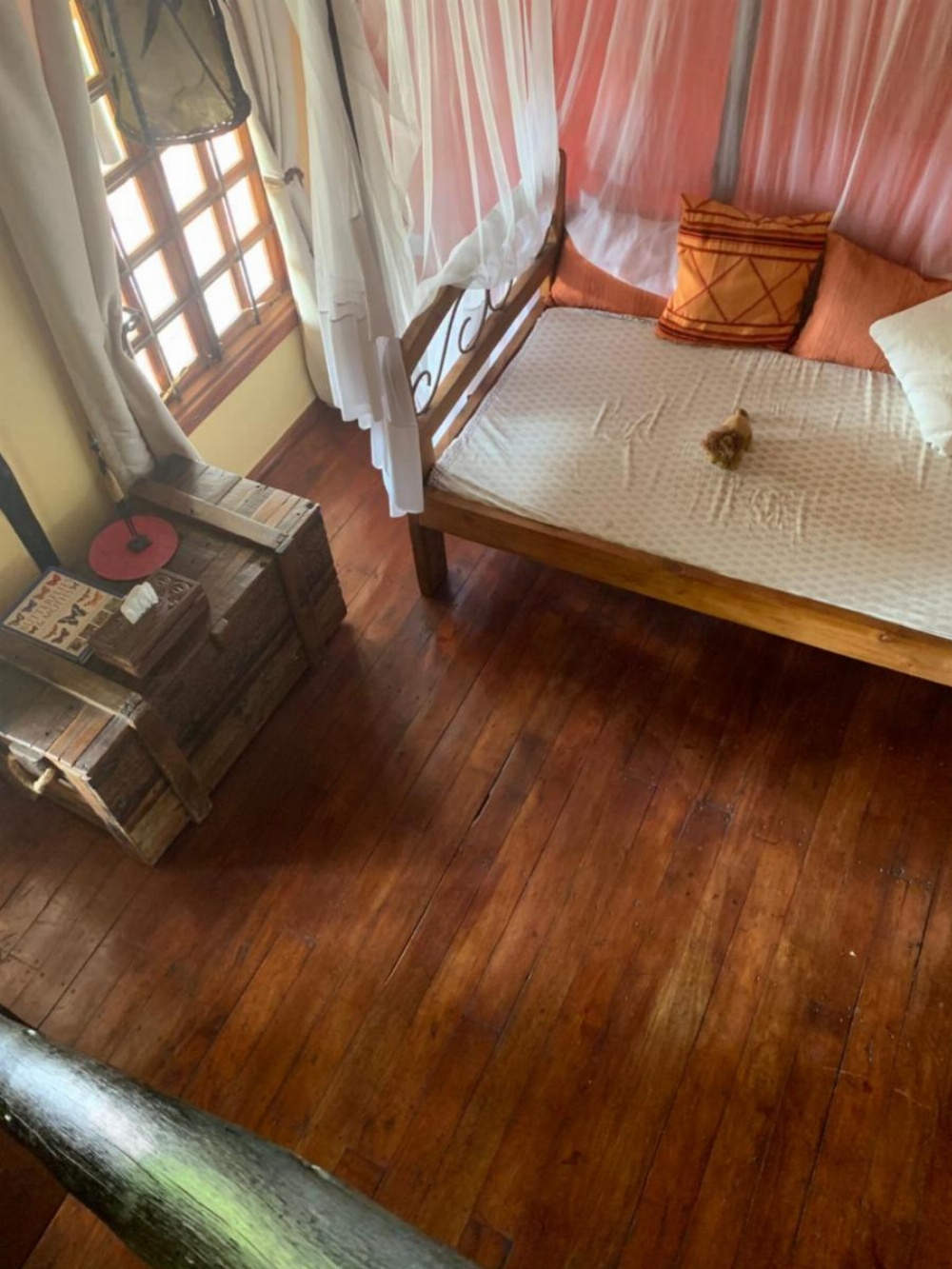 Twiga Lodge, ANP Image 33